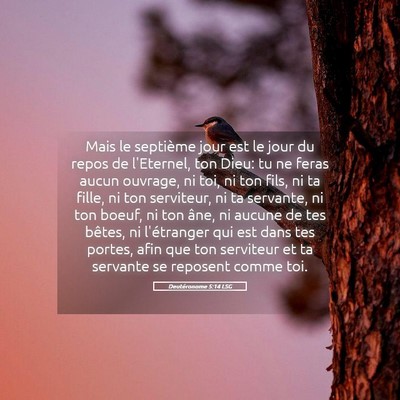 Picture 05 - Deutéronome 5:14 LSG - Mais le septième jour est le jour du repos de - Bible Verse Picture