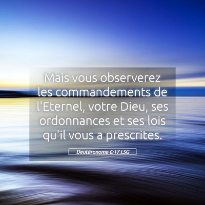 Picture 05 - Deutéronome 6:17 LSG - Mais vous observerez les commandements de - Bible Verse Picture