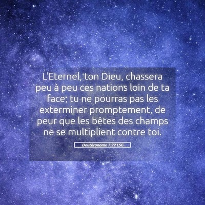Picture 05 - Deutéronome 7:22 LSG - L'Eternel, ton Dieu, chassera peu à peu ces - Bible Verse Picture