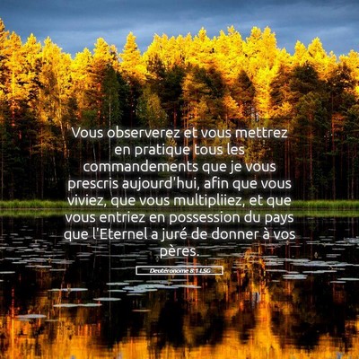 Picture 05 - Deutéronome 8:1 LSG - Vous observerez et vous mettrez en pratique tous - Bible Verse Picture