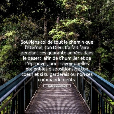 Picture 05 - Deutéronome 8:2 LSG - Souviens-toi de tout le chemin que l'Eternel, ton - Bible Verse Picture