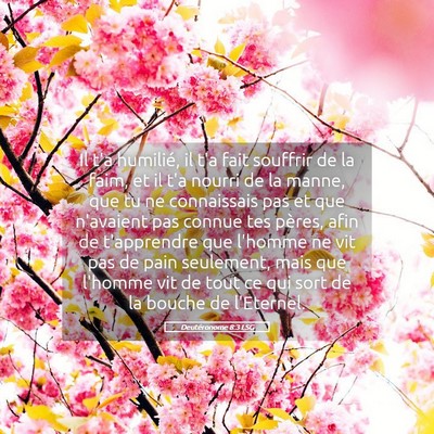 Picture 05 - Deutéronome 8:3 LSG - Il t'a humilié, il t'a fait souffrir de la faim, - Bible Verse Picture