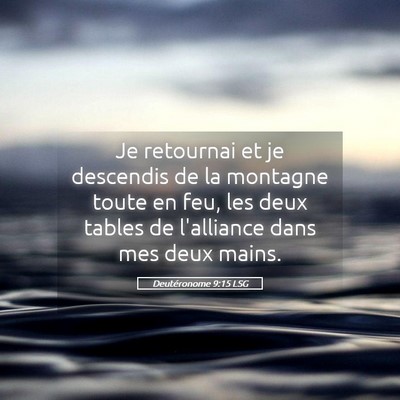 Picture 05 - Deutéronome 9:15 LSG - Je retournai et je descendis de la montagne toute - Bible Verse Picture