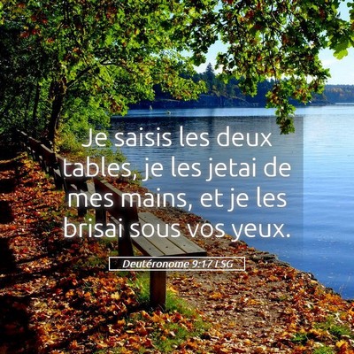Picture 05 - Deutéronome 9:17 LSG - Je saisis les deux tables, je les jetai de mes - Bible Verse Picture