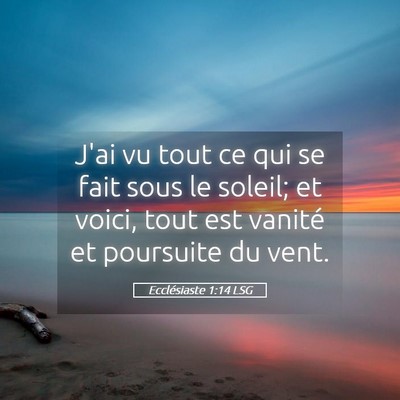 Picture 05 - Ecclésiaste 1:14 LSG - J'ai vu tout ce qui se fait sous le soleil; et - Bible Verse Picture