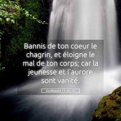 Picture 05 - Ecclésiaste 11:10 LSG - Bannis de ton coeur le chagrin, et éloigne le - Bible Verse Picture