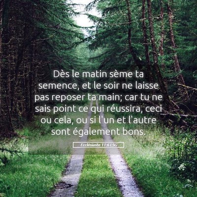 Picture 05 - Ecclésiaste 11:6 LSG - Dès le matin sème ta semence, et le soir ne - Bible Verse Picture