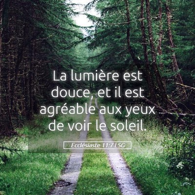 Picture 05 - Ecclésiaste 11:7 LSG - La lumière est douce, et il est agréable aux - Bible Verse Picture