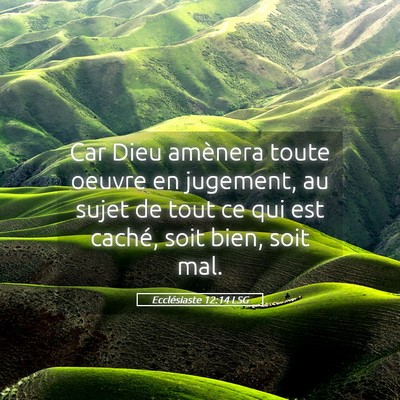 Picture 05 - Ecclésiaste 12:14 LSG - Car Dieu amènera toute oeuvre en jugement, au - Bible Verse Picture