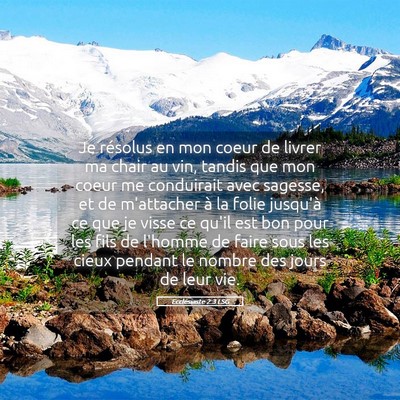 Picture 05 - Ecclésiaste 2:3 LSG - Je résolus en mon coeur de livrer ma chair au - Bible Verse Picture