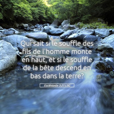 Picture 05 - Ecclésiaste 3:21 LSG - Qui sait si le souffle des fils de l'homme monte - Bible Verse Picture