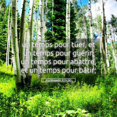 Picture 05 - Ecclésiaste 3:3 LSG - un temps pour tuer, et un temps pour guérir; un - Bible Verse Picture
