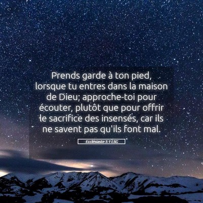 Picture 05 - Ecclésiaste 5:1 LSG - Prends garde à ton pied, lorsque tu entres dans - Bible Verse Picture