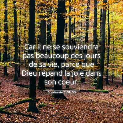 Picture 05 - Ecclésiaste 5:20 LSG - Car il ne se souviendra pas beaucoup des jours de - Bible Verse Picture