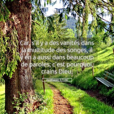 Picture 05 - Ecclésiaste 5:7 LSG - Car, s'il y a des vanités dans la multitude des - Bible Verse Picture