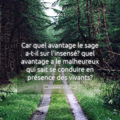 Picture 05 - Ecclésiaste 6:8 LSG - Car quel avantage le sage a-t-il sur l'insensé? - Bible Verse Picture