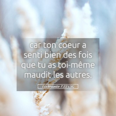 Picture 05 - Ecclésiaste 7:22 LSG - car ton coeur a senti bien des fois que tu as - Bible Verse Picture