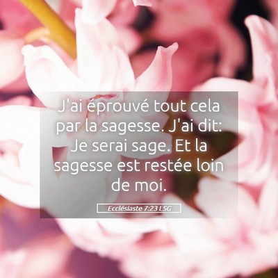 Picture 05 - Ecclésiaste 7:23 LSG - J'ai éprouvé tout cela par la sagesse. J'ai - Bible Verse Picture