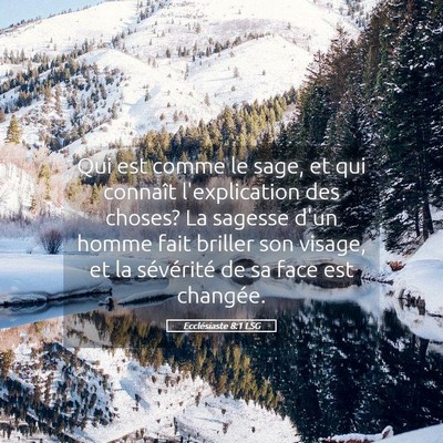 Picture 05 - Ecclésiaste 8:1 LSG - Qui est comme le sage, et qui connaît - Bible Verse Picture
