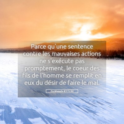 Picture 05 - Ecclésiaste 8:11 LSG - Parce qu'une sentence contre les mauvaises - Bible Verse Picture