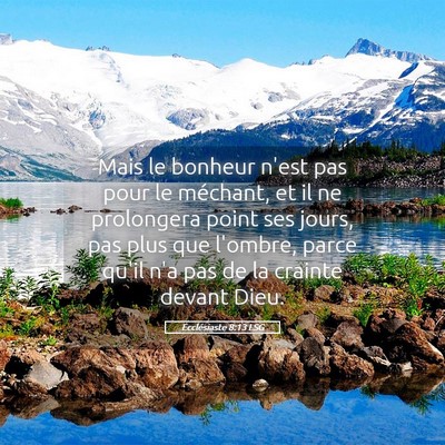 Picture 05 - Ecclésiaste 8:13 LSG - Mais le bonheur n'est pas pour le méchant, et il - Bible Verse Picture