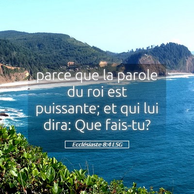 Picture 05 - Ecclésiaste 8:4 LSG - parce que la parole du roi est puissante; et qui - Bible Verse Picture