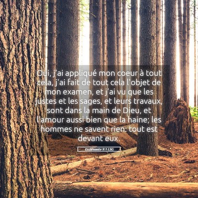 Picture 05 - Ecclésiaste 9:1 LSG - Oui, j'ai appliqué mon coeur à tout cela, j'ai - Bible Verse Picture