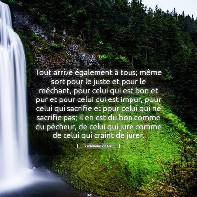 Picture 05 - Ecclésiaste 9:2 LSG - Tout arrive également à tous; même sort pour - Bible Verse Picture