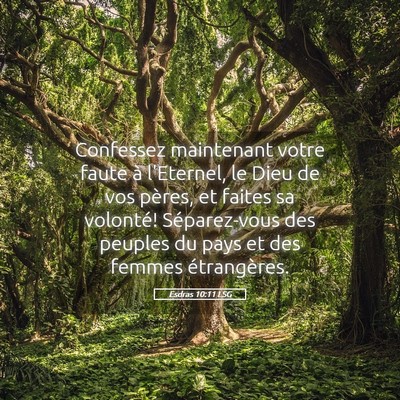 Picture 05 - Esdras 10:11 LSG - Confessez maintenant votre faute à l'Eternel, le - Bible Verse Picture