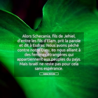 Picture 05 - Esdras 10:2 LSG - Alors Schecania, fils de Jehiel, d'entre les fils - Bible Verse Picture