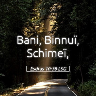 Picture 05 - Esdras 10:38 LSG - Bani, Binnuï, - Bible Verse Picture