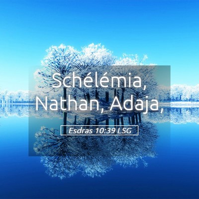Picture 05 - Esdras 10:39 LSG - Schélémia, Nathan, - Bible Verse Picture