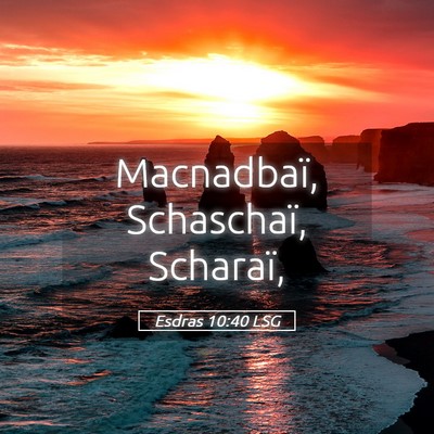 Picture 05 - Esdras 10:40 LSG - Macnadbaï, Schaschaï, - Bible Verse Picture