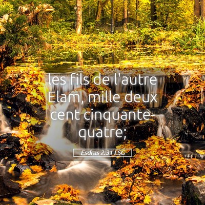 Picture 05 - Esdras 2:31 LSG - les fils de l'autre Elam, mille deux cent - Bible Verse Picture