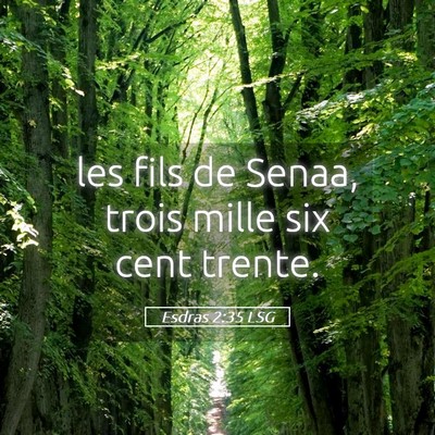 Picture 05 - Esdras 2:35 LSG - les fils de Senaa, trois mille six cent - Bible Verse Picture
