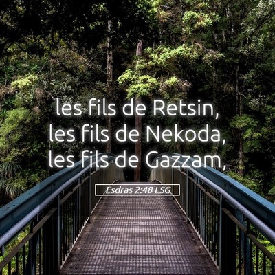 Picture 05 - Esdras 2:48 LSG - les fils de Retsin, les fils de Nekoda, les fils - Bible Verse Picture