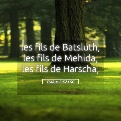 Picture 05 - Esdras 2:52 LSG - les fils de Batsluth, les fils de Mehida, les - Bible Verse Picture