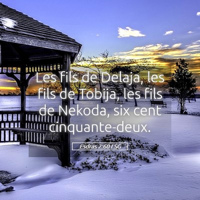 Picture 05 - Esdras 2:60 LSG - Les fils de Delaja, les fils de Tobija, les fils - Bible Verse Picture