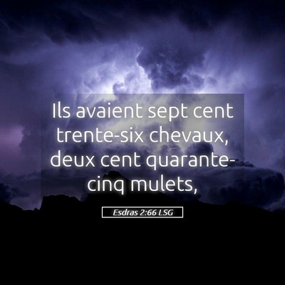 Picture 05 - Esdras 2:66 LSG - Ils avaient sept cent trente-six chevaux, deux - Bible Verse Picture