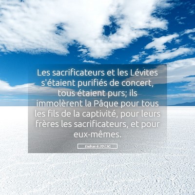 Picture 05 - Esdras 6:20 LSG - Les sacrificateurs et les Lévites s'étaient - Bible Verse Picture