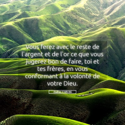 Picture 05 - Esdras 7:18 LSG - Vous ferez avec le reste de l'argent et de l'or - Bible Verse Picture
