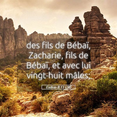 Picture 05 - Esdras 8:11 LSG - des fils de Bébaï, Zacharie, fils de Bébaï, - Bible Verse Picture