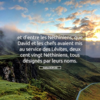 Picture 05 - Esdras 8:20 LSG - et d'entre les Néthiniens, que David et les - Bible Verse Picture