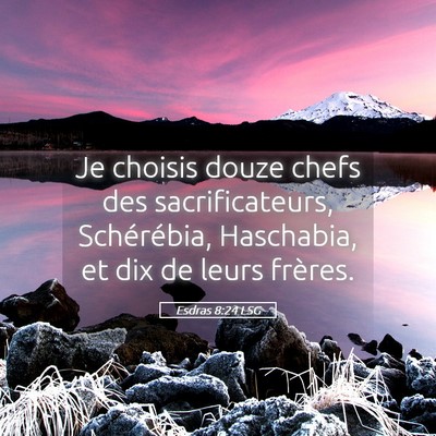 Picture 05 - Esdras 8:24 LSG - Je choisis douze chefs des sacrificateurs, - Bible Verse Picture