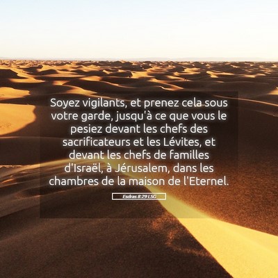 Picture 05 - Esdras 8:29 LSG - Soyez vigilants, et prenez cela sous votre garde, - Bible Verse Picture