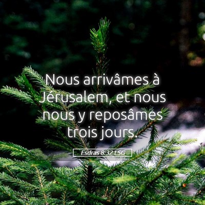 Picture 05 - Esdras 8:32 LSG - Nous arrivâmes à Jérusalem, et nous nous y - Bible Verse Picture