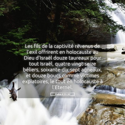 Picture 05 - Esdras 8:35 LSG - Les fils de la captivité revenus de l'exil - Bible Verse Picture