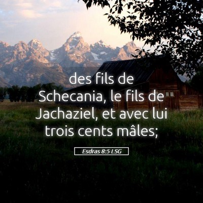 Picture 05 - Esdras 8:5 LSG - des fils de Schecania, le fils de Jachaziel, et - Bible Verse Picture