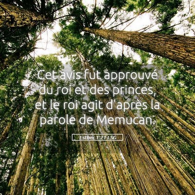 Picture 05 - Esther 1:21 LSG - Cet avis fut approuvé du roi et des princes, et - Bible Verse Picture