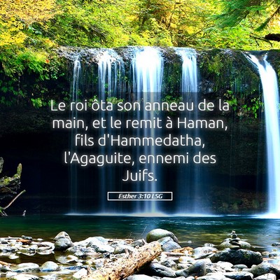 Picture 05 - Esther 3:10 LSG - Le roi ôta son anneau de la main, et le remit à - Bible Verse Picture